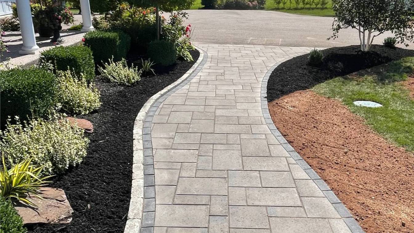 garden borders